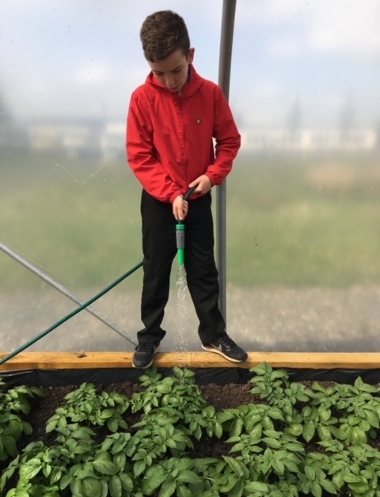 junior gardening 1